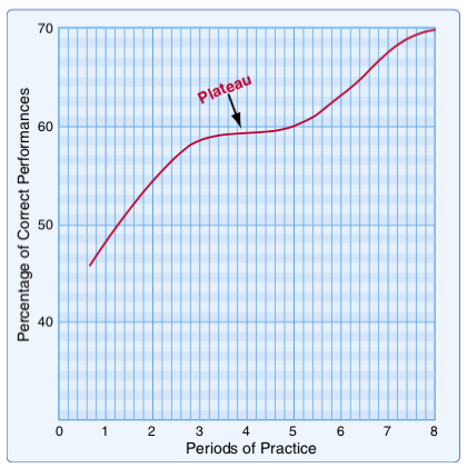 Learning Plateau