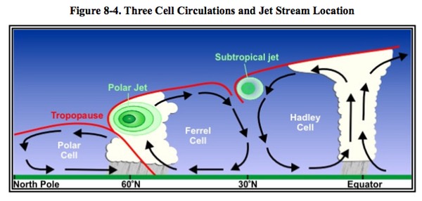 Cell Circulations