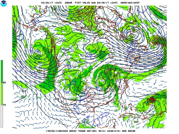 Surface Analysis