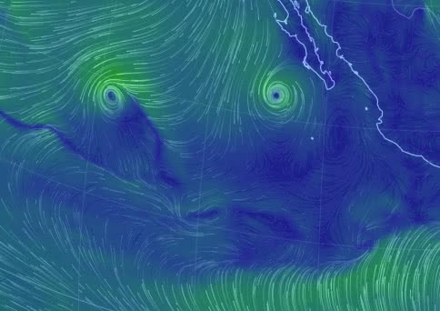 Earth Wind Map